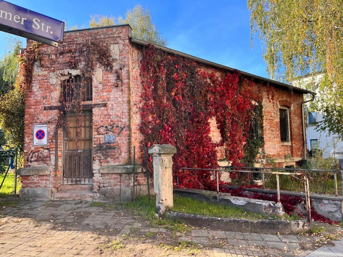 Gemutliche Oase - Tv, Beamer, Kuche Fur 4 Personen Daire Dresden Dış mekan fotoğraf